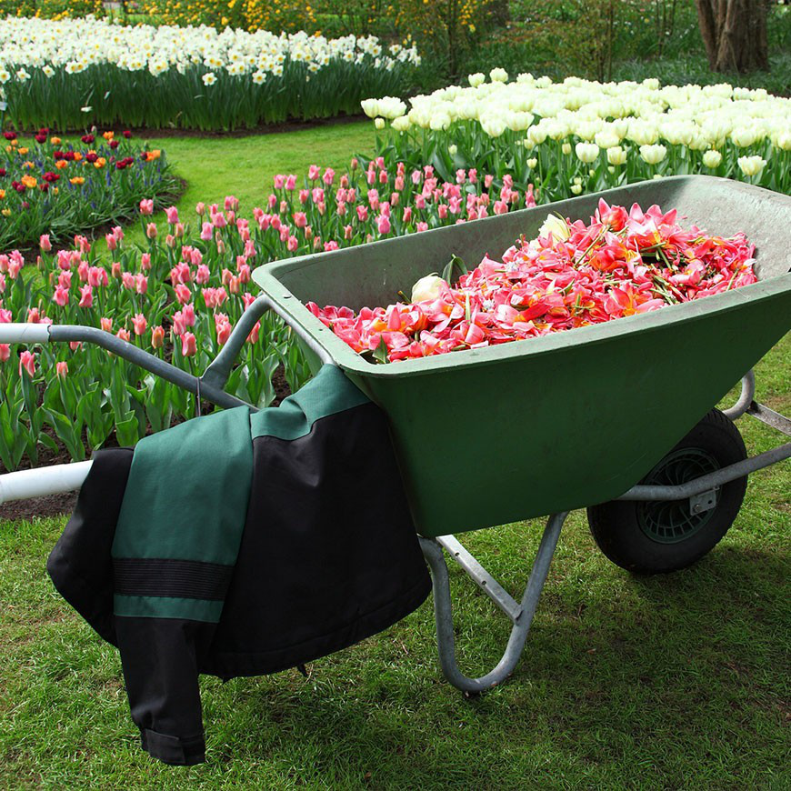 Upon of seasons earth