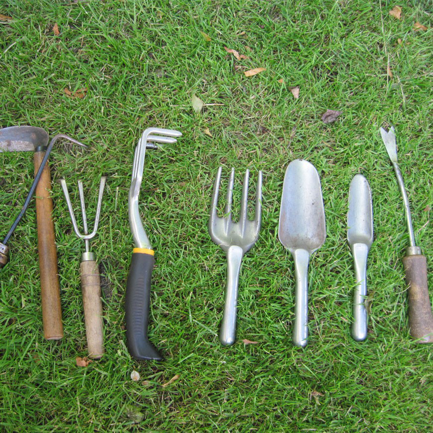 Scelerisque vestibulum