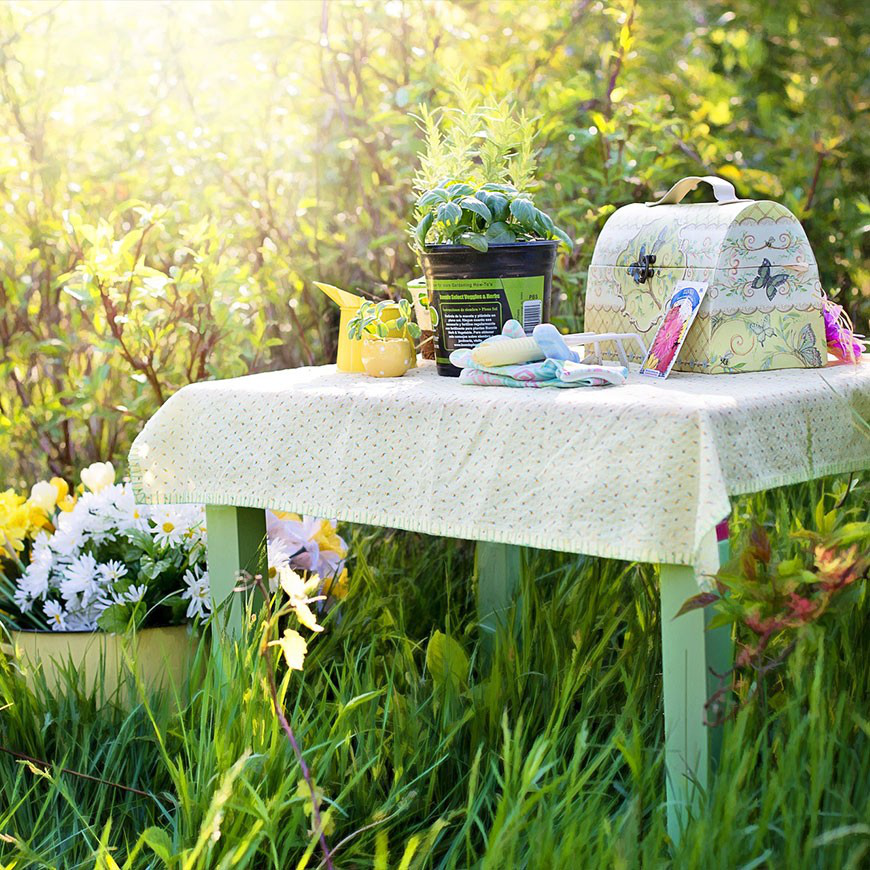 Viderer voluptatum te eum