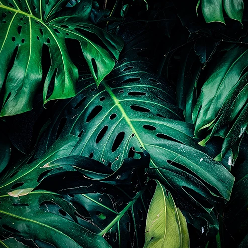 Contact Banner Image