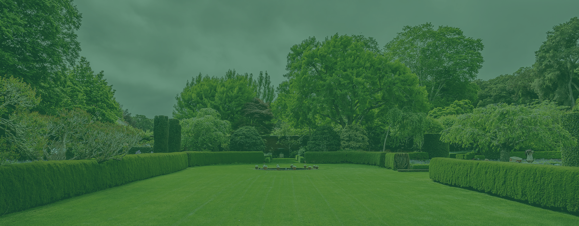 Desktop Slider Image