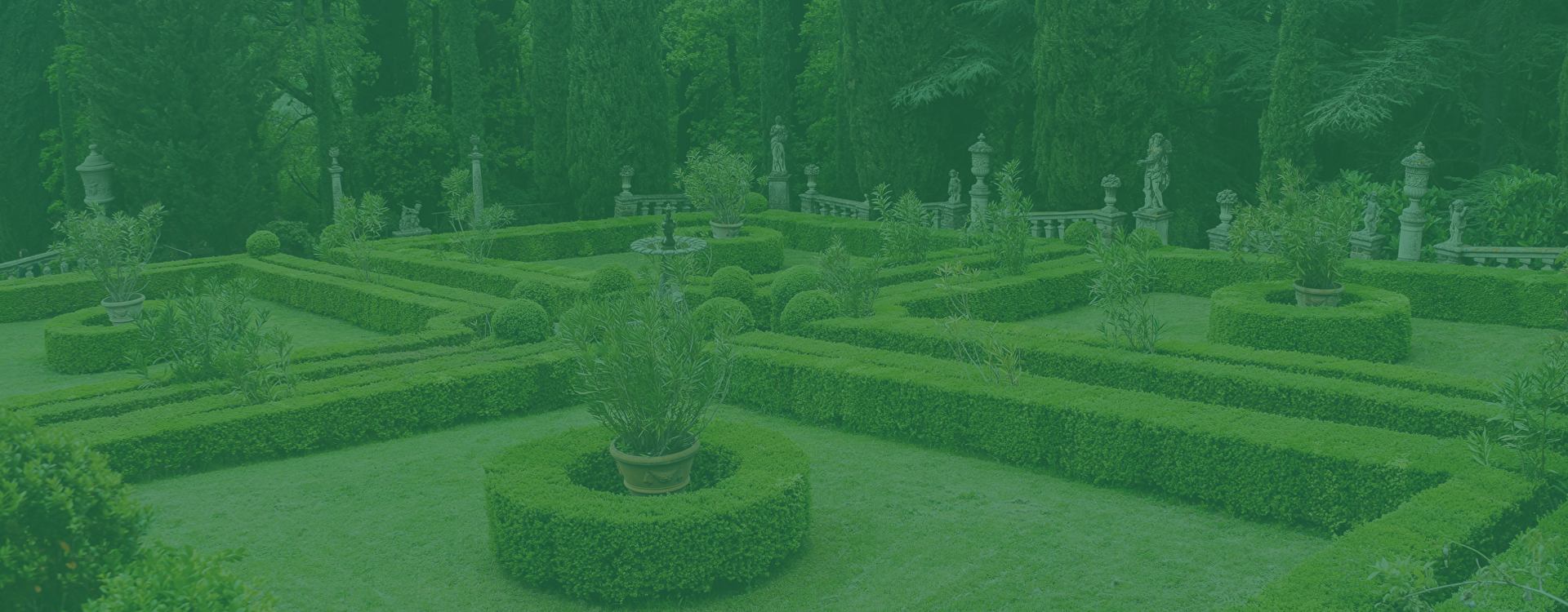 Desktop Slider Image