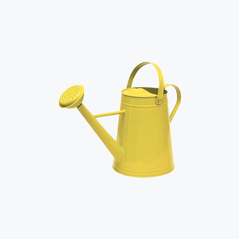 Ligula convallis pulvinar